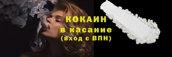 молекула духа Бородино