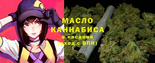 молекула духа Бородино