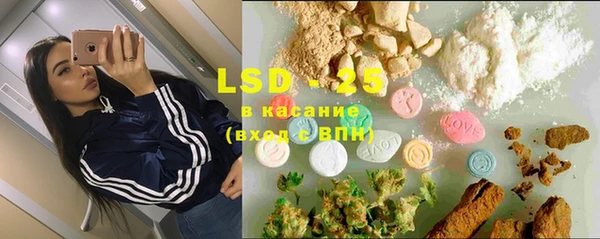 молекула духа Бородино