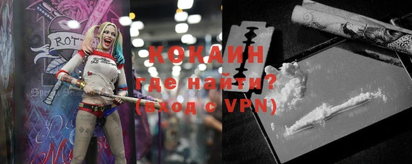 молекула духа Бородино