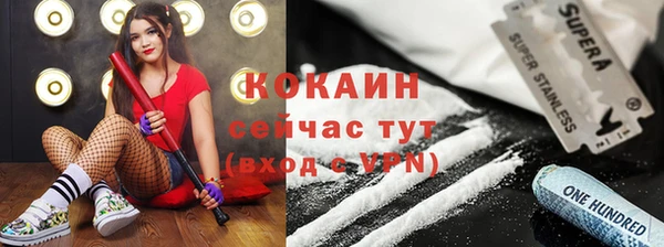 молекула духа Бородино